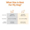 61JHwUqlKL._SL1500_.jpg AmazonBasics Two Door Top Load Pet Carrier, Small Size |19-inch | Portable Airline Pet Carrier for Cats, Puppies and Kitten | Small
