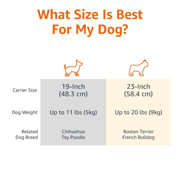 61JHwUqlKL._SL1500_.jpg AmazonBasics Two Door Top Load Pet Carrier, Small Size |19-inch | Portable Airline Pet Carrier for Cats, Puppies and Kitten | Small