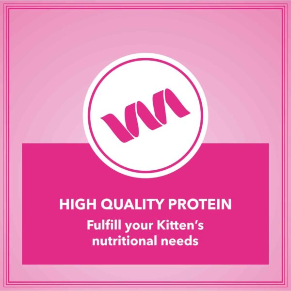 61JUy0p6RlL._SL1500_.jpg Let's Bite Active Kitten Dry Cat Food, 400 gm (Buy 1 Get 1 Free), Total 800 g Pack