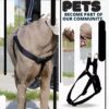 61JXNDMVE5L._SL1000_.jpg Dog Leash And Collar Combo Set|Highly Reflective|Dog Rope For Small, Medium & Large Dogs|(Size- Leash 4.8 Ft. + Collar (Medium, Black),146 cm