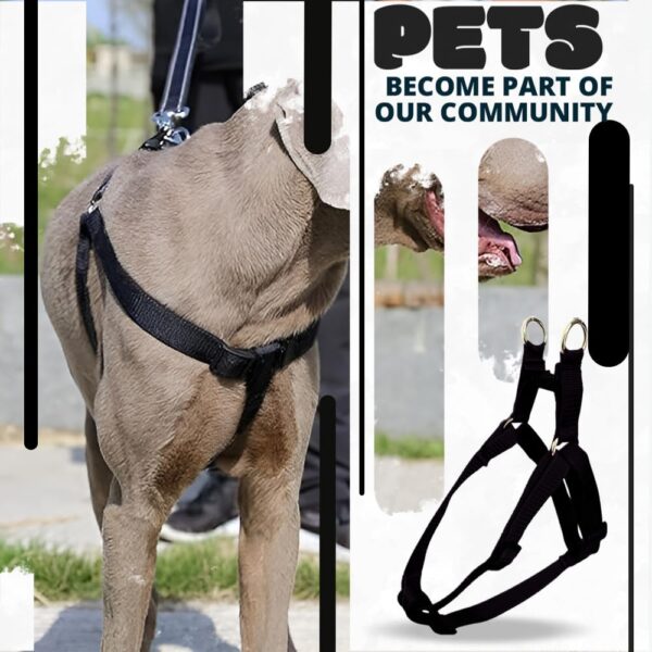 61JXNDMVE5L._SL1000_.jpg Dog Leash And Collar Combo Set|Highly Reflective|Dog Rope For Small, Medium & Large Dogs|(Size- Leash 4.8 Ft. + Collar (Medium, Black),146 cm