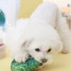 PETS EMPIRE 2 Pcs Combo Dog Toys for Small Dogs Indestructible Balls Squeaky Puppy Soft Plush Dog Puppy Toys