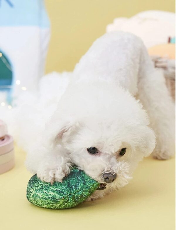 PETS EMPIRE 2 Pcs Combo Dog Toys for Small Dogs Indestructible Balls Squeaky Puppy Soft Plush Dog Puppy Toys
