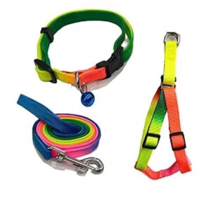 Dog Trust Colourful Adjustable Nylon Puppy Leash Harness and Collar Combo, Suitable for Puppy 15 mm Multicolor (Collar + Harness + Leash) 01