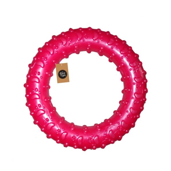Pets Co. Rubber Dog Chew Toy Combo (6" Bone + 3" Spike Ball + 4.5" Ring + 7" Plastic Bone) | Teething Toys for Puppies & Small Dogs