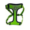 61KFaYmziVL._SL1500_.jpg Foodie Puppies Nylon Reflective Flamingo Stitching Dog Chest Harness with Elastic Padded Handle - Size: Chest Girth 52-92cm (Large, Neon Green)