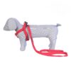 Pets Like Spun Poly V Harness with Leash Set Red Pets Like Spun Poly V Harness with Leash Set Red (Medium)