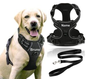 Dog Harness with Name id Customized for Dogs Large Medium Small Puppy All Breeds No Pull Harness Reflective Vest Harness Belt Adjustable with Personalized Dog Name (Black) (Large Dogs)