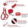 15mm Nylon Reflective Dog Harness & Leash Set | Daily Walking Durable for Small and Medium Dogs & Puppy Harness and Leash (Red)