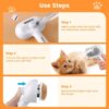 61LLl0eNLIL._SL1500_.jpg Pet Steam Brush for Dogs & Cats | Self-Cleaning Grooming Comb with Water Spray, Anti-Static, Massage Bristles | Portable Pet Hair Remover for Long & Short Fur (Multicolor)