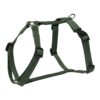Avocado dip Premium Adjustable Washable Training Freedom H-Harness for Dogs Avocado dip Premium Adjustable Washable Training Freedom H-Harness for Dogs and Puppies-Bold Range | Dark Green | Small