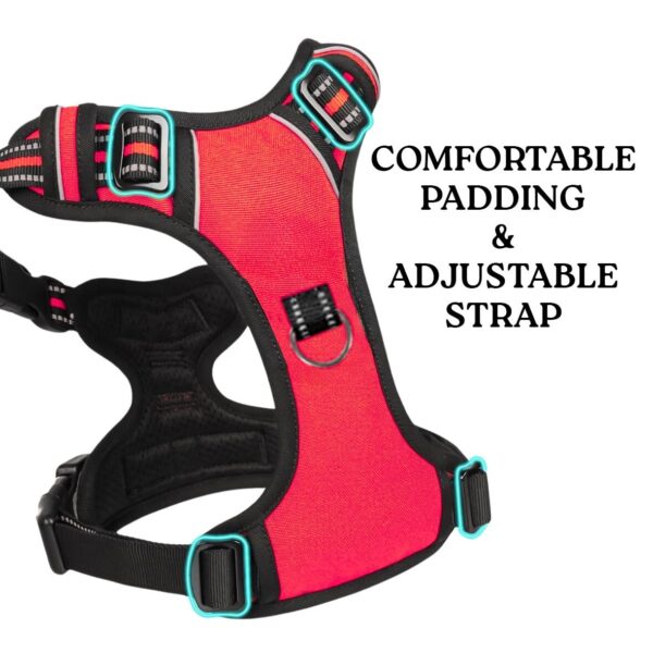 No Pull Dog Chest Belt Harness, Comfortable & Adjustable Size for 24-35 Kg Pet (Red, Large)