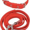 SENAPATI Dog Neck Collar Belt And Leash Set(Red Color, Waterproof, Medium, Leash Size 1.5M-2M)(Medium),L-10 Cm