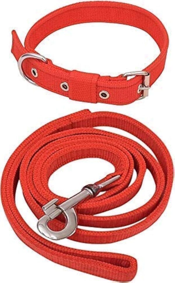 SENAPATI Dog Neck Collar Belt And Leash Set(Red Color, Waterproof, Medium, Leash Size 1.5M-2M)(Medium),L-10 Cm