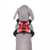 Dog Padded Harness| Easy Control Handle for Small, Medium & Large Dogs| Dog Harness Comes with Red-Orange Mix Color for Small Size Dogs