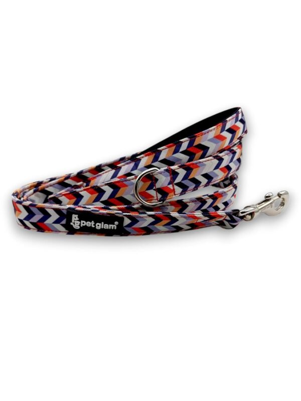 Dog Leash for Large Dogs-Troy-for Big Dogs-with Padded Handle-5 Ft Long 1 inch Wide