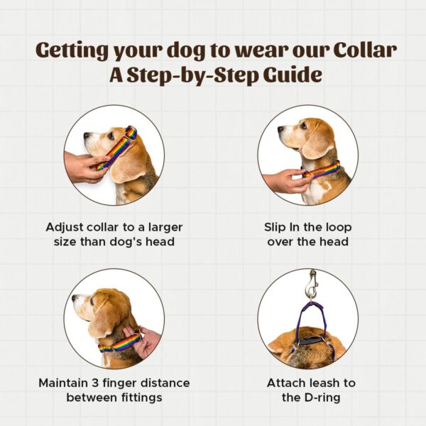 PetWale Reflective Orange Dog Martingale Collar | Comfortable & Secure Fit | No Neck Strains | Durable | Recommended by Trainers | Suited for Small Breeds Like Lahsa, Terrier & More | Size S