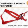 61NfUWIVoQL._SL1200_.jpg Boltz Premium Reflective Dog Vest Harness, Comfortable Vest with Quick-Release Buckles for Small, Medium & Large Dogs, No-Pull Dog Harness – Black, Adjustable & Reflective - Black