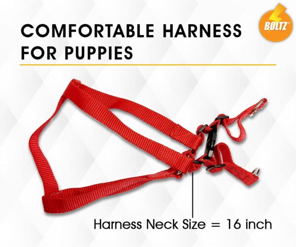 61NfUWIVoQL._SL1200_.jpg Boltz Premium Reflective Dog Vest Harness, Comfortable Vest with Quick-Release Buckles for Small, Medium & Large Dogs, No-Pull Dog Harness – Black, Adjustable & Reflective - Black