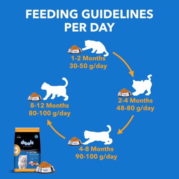 Drools Kitten(1-12 Months) Dry Cat Food, Real Chicken Flavour 3 Kg Pack