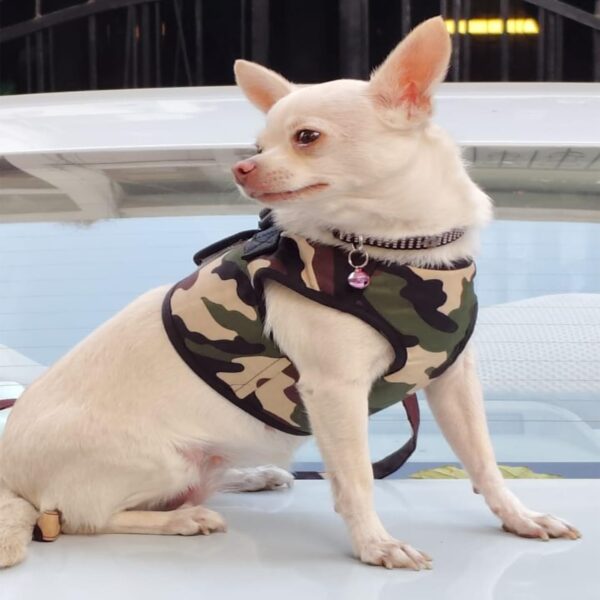 Emily Pets Dog Harness and Leash Set, No Pull Soft Mesh Pet Harness, Adjustable Puppy Vest for Small Medium Large Dogs (M)