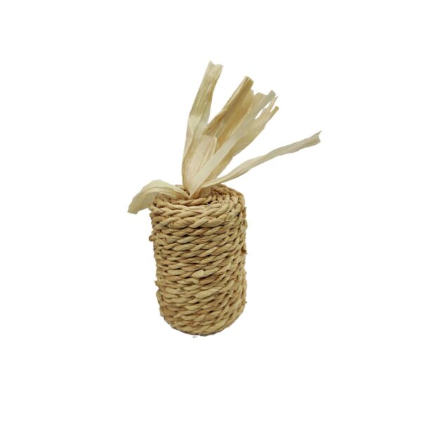 The Pets Company Cat Scratching Sisal Carrot Teaser Toy