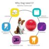61OOFaLCRxL._SL1001_.jpg PSK PET MART Dog & Puppy Rubber Chew Toys Combo- Ring Toy, Silicon Dumbbell, Squeaky Chicken Small (Pack of 3)