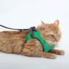 A+a Pets' Feather Weight Cat and Dog Harness & Leash Set – Escape Proof, Adjustable, No Pull, Soft Padded Vest for Persian Cats, Kittens, Small Dogs (Green, L)