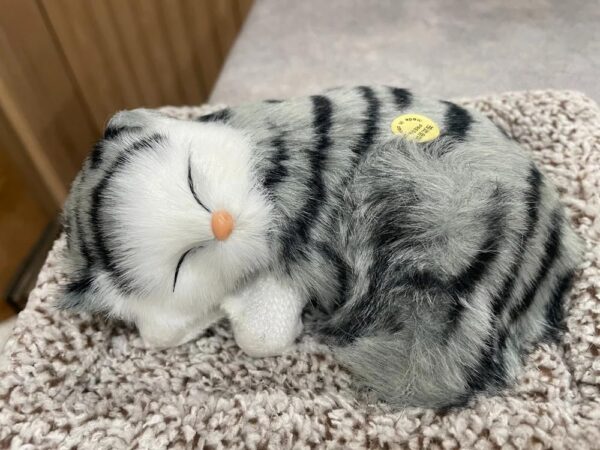 Toyzeeland Cute Sleeping Cat Plush Toy with Meow Sound, Gift for Kids | Car Dashboard Accessories - Random Color