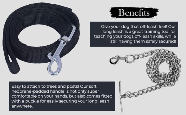 Combo: Collar, Leash, and Belt With Silver Chain for Medium Size Dogs - Width 20 MM (Large, Black)