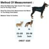 61P7sV1Ue3L._SL1500_.jpg Hachiko Dog Harness with Rope | No Pull Dog Body Belt | Reflective Dog Vest Oxford Fabric | Soft Padded Easy Control Dog Chest Neck Belt | No More Pulling Or Choking (Small, Blue,Red)