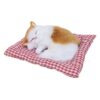 FunBlast Cute Sleeping Cat Plush Toy with Meow Sound, Toy Accessories for Car Dashboard, Gift for Kids, Realistic Cat Pet Toy (White+Brown)