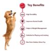 61PWCfCPZ4L._SL1200_.jpg Pack of 2 Solid Spiky Balls for Pets, Durable Rubber Chew & Play Toy Set, Interactive Dog Sensory Spike Balls