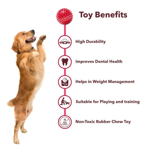 61PWCfCPZ4L._SL1200_.jpg Pack of 2 Solid Spiky Balls for Pets, Durable Rubber Chew & Play Toy Set, Interactive Dog Sensory Spike Balls