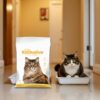 Cat Litter for All Breed Cats Scoopable, Unscented, Clumping - User-Friendly Solution for All Cat Owners New Packaging 10 Kg Bag Pack of 2