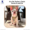 61PldHtqnnL._SL1024_.jpg A+a Pets' Bur-Berry Checks Combo of Harness & Leash Set for Dogs and Cats (S)