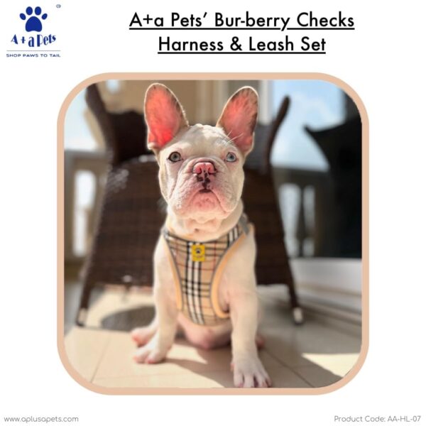61PldHtqnnL._SL1024_.jpg A+a Pets' Bur-Berry Checks Combo of Harness & Leash Set for Dogs and Cats (S)