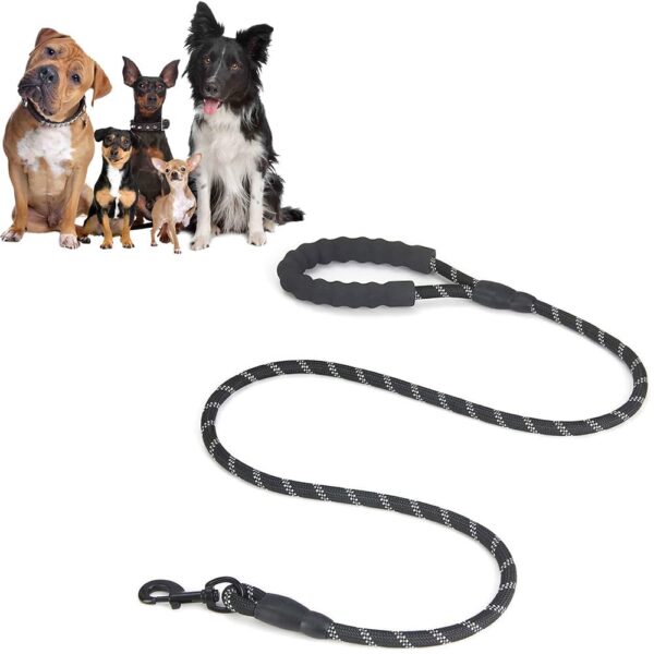 Nylon Dog Leash with Comfortable Padded Handle and Reflective Threads for Running, Walking & Training to Puppy, Small Medium and Large Dogs (1.5 Meter-5 Feet 1.2 cm Diameter)