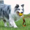 61QNtoB4J1L._SL1080_.jpg Rope Ball Dog Toy Interactive Pet Training Toy Ball for Tug, Chew, Fetch & Play Perfect for Powerful Chewers Play Ball Dental Clean (Rope Ball) Yellow