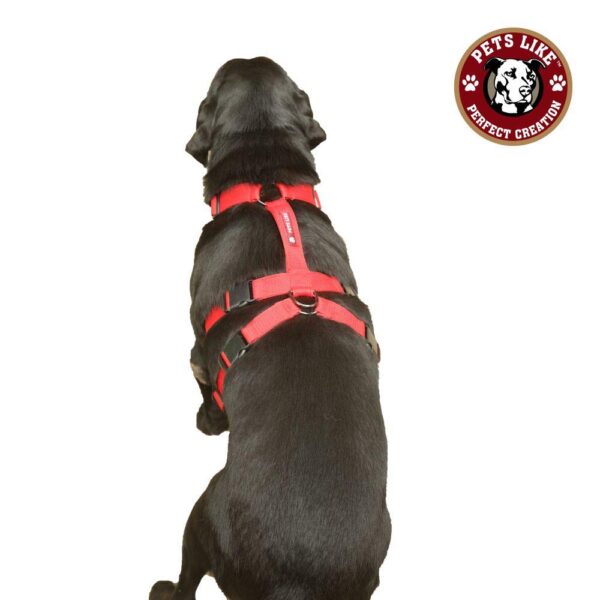 61QSfb4dHJL._SL1000_.jpg Petslike Double H Harness Olive Green(Size Large), Olive Green, Large, 250 g