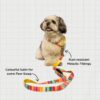 PetWale Dog Leash with Padded Handle | Suited for Walking, Running, Training & More | Colourful Stripes Print | Easy to Clean & Maintain | Durable & Sturdy | L: 5 feet, W: 1 inch