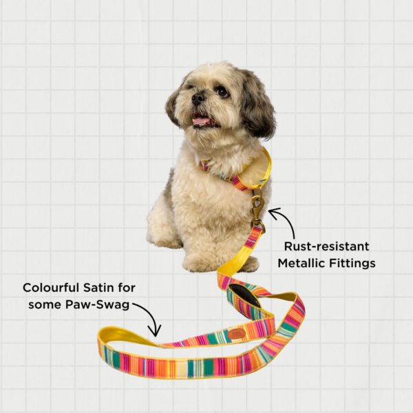 PetWale Dog Leash with Padded Handle | Suited for Walking, Running, Training & More | Colourful Stripes Print | Easy to Clean & Maintain | Durable & Sturdy | L: 5 feet, W: 1 inch