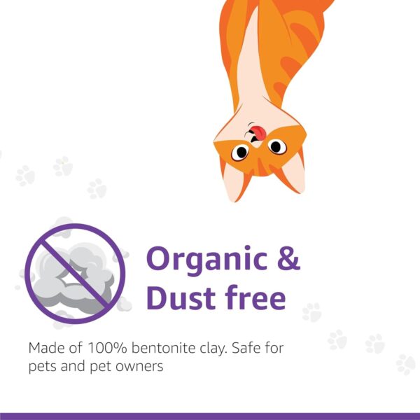 Amazon Basics Scoopable Smart White Bentonite Cat Litter | Lavender Fragrance | Scented Cat Litter | 5Kg - Pack of 1