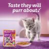 61SS0xF33PL._SL1100_.jpg Whiskas Tasty Mix Kitten (2-12 Months) Wet Cat Food, Seafood Cocktail Carrot Flavour in Gravy, 70 g x 14, 100% Complete & Balanced Nutrition for Kittens