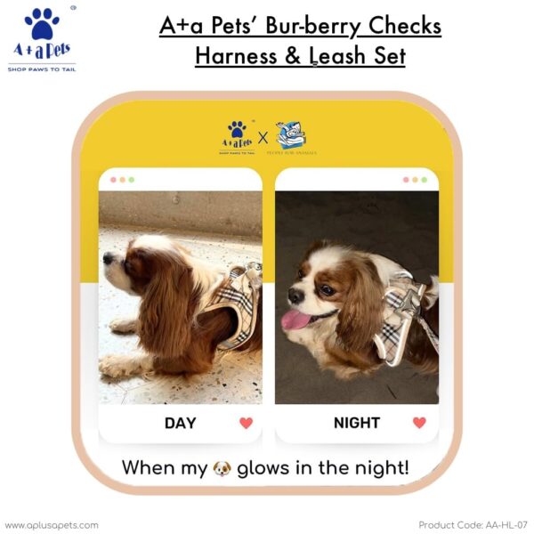 61STNnnSAKL._SL1024_.jpg A+a Pets' Bur-Berry Checks Combo of Harness & Leash Set for Dogs and Cats (S)