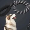 Heavy Duty Nylon Dog Leash, Anti Slip Padded Handle Long Dog Leash, Highly Reflective Leash for Dogs, Dog Rope for Small & Medium Dogs, Dog Training Leash, Black, 10MM 5 Feet Long.