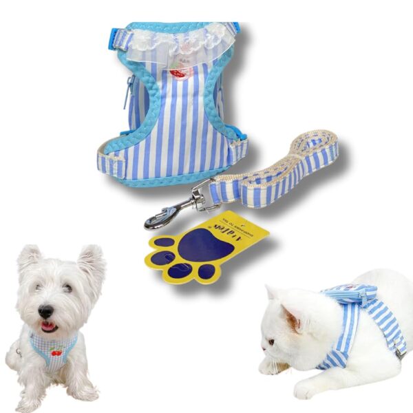 A+a Pets' Combo of 3-in-1 Backpack, Harness & Leash Set for Dogs, Puppies & Cats - Soft Breathable Cotton Cute Checks Design (S, Stripes Blue)