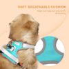 61TMTTZvEZL._SL1080_.jpg Premium Reflective Vest Dog Harness | Soft Breathable Mesh and Oxford Nylon Fabric | Padded Control Handle with No Pull Front & Back Clip | Adjustable Strap & Dual Lock Buckle (Small, Sea Green)