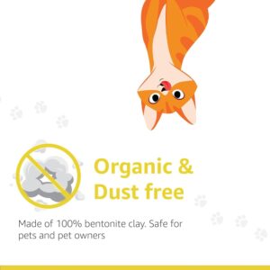 Amazon Basics Scoopable Smart White Bentonite Cat Litter | Lemon Fragrance | Scented Cat Litter | 5Kg - Pack of 1