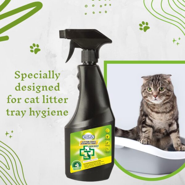VetSafe Cat Litter Tray Disinfectant 500 ml | Ready-to-Use Spray | Eliminates Odour & Germs | Safe & Gentle for Cats